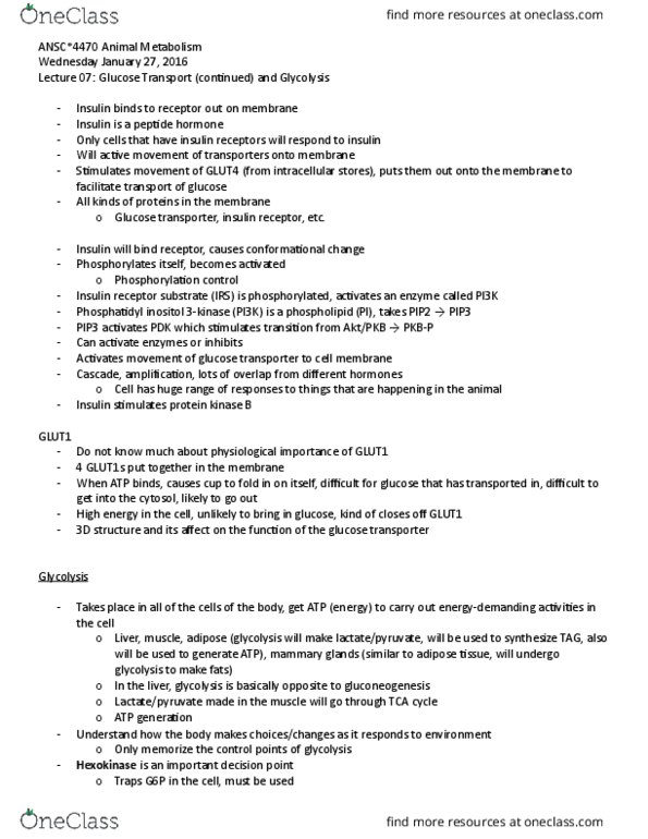 ANSC 4470 Lecture Notes - Lecture 7: B Vitamins, Niacin, Reaction Rate thumbnail