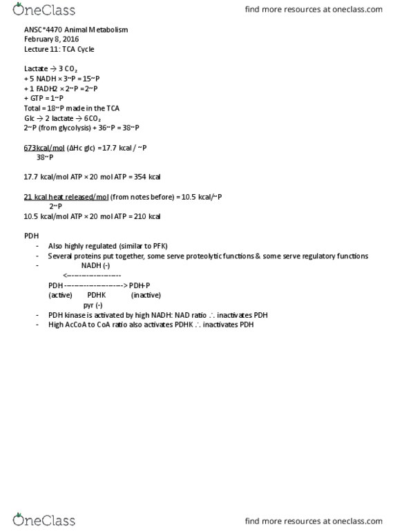 ANSC 4470 Lecture Notes - Lecture 11: Phosphofructokinase, Citric Acid Cycle thumbnail