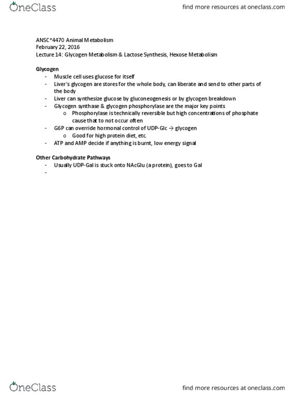 ANSC 4470 Lecture Notes - Lecture 14: High-Protein Diet, Carbohydrate, Glycogen Phosphorylase thumbnail