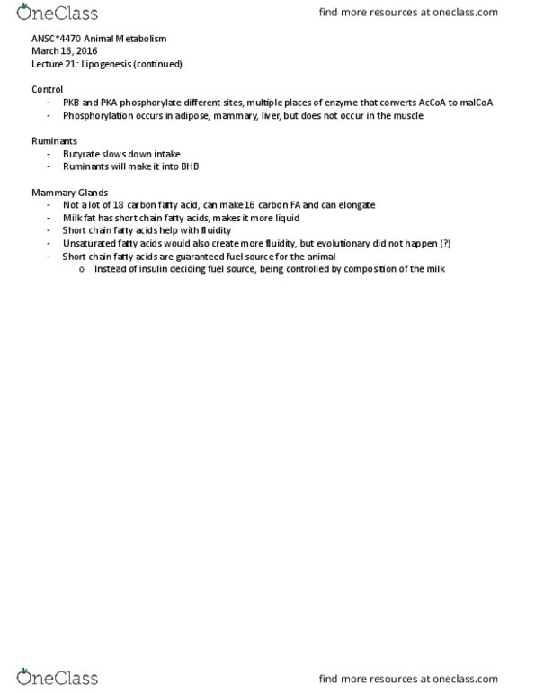 ANSC 4470 Lecture Notes - Lecture 21: Short-Chain Fatty Acid, Phosphorylation thumbnail