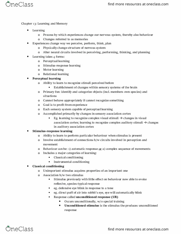 PSYCH261 Chapter Notes - Chapter 13: Inferior Temporal Gyrus, Frontal Lobe, Subiculum thumbnail