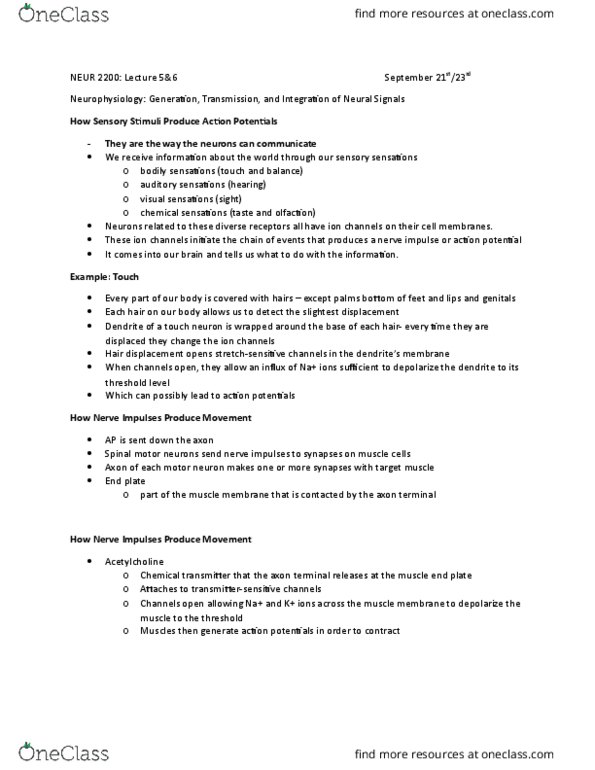 NEUR 2200 Lecture Notes - Lecture 5: Resting Potential, Axon Terminal, Extracellular Fluid thumbnail