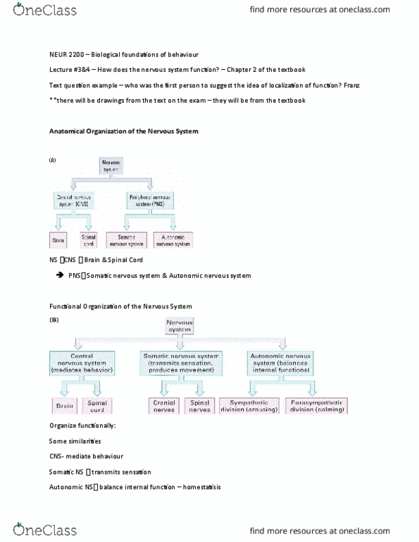 NEUR 2200 Lecture Notes - Lecture 3: Anterior Cerebral Artery, Posterior Cerebral Artery, Middle Cerebral Artery thumbnail