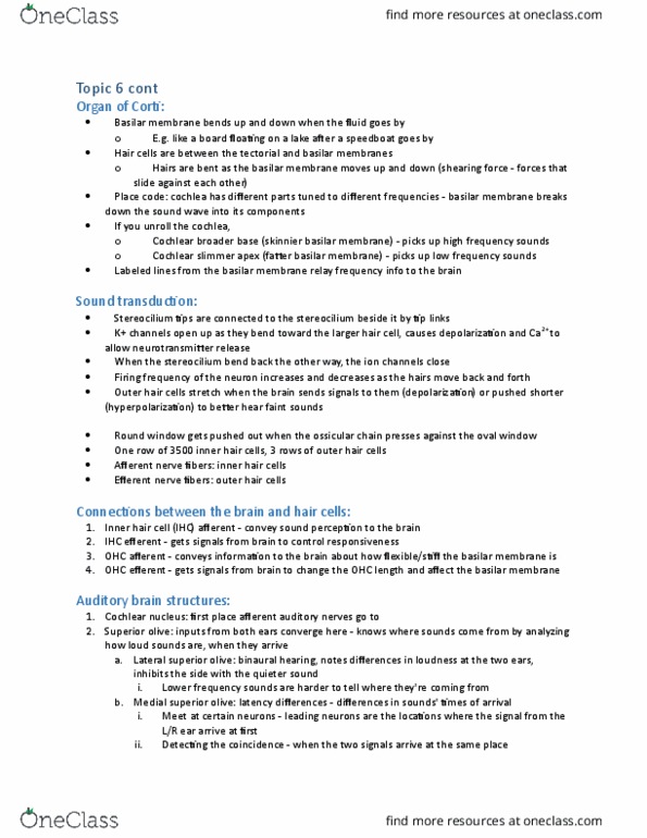 BISC 230Lgx Lecture Notes - Lecture 9: Basilar Membrane, Ossicles, Afferent Nerve Fiber thumbnail