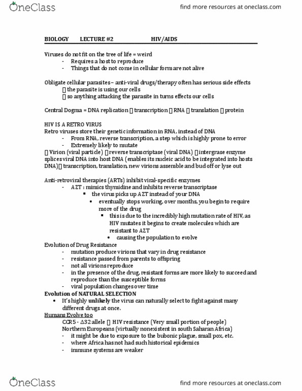 Biology 1002B Lecture Notes - Lecture 2: Reverse Transcriptase, Dna Replication, Thymidine thumbnail