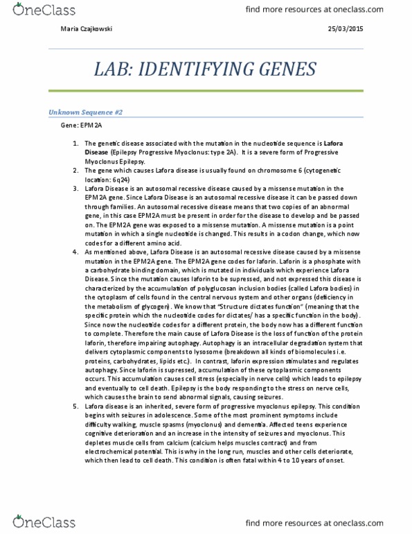 BIO130H1 Lecture Notes - Lecture 18: Lafora Disease, Laforin, Missense Mutation thumbnail