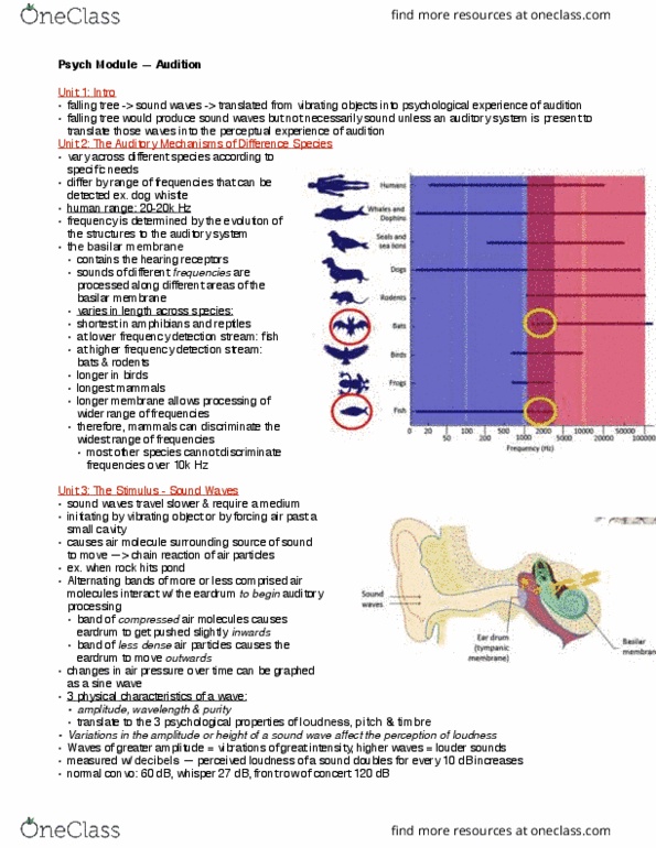 PSYCH 1XX3 Lecture Notes - Lecture 7: Basilar Membrane, Oval Window, Cochlear Nerve thumbnail