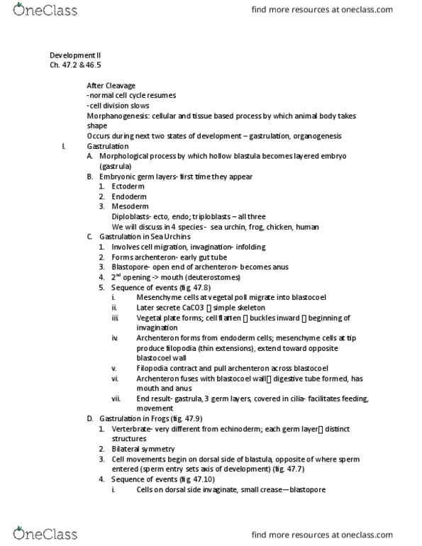 01:119:116 Lecture Notes - Lecture 17: Retrovirus, Corm, Allantois thumbnail