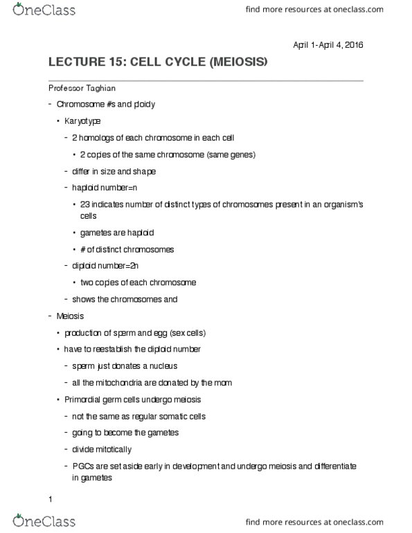 BIOL2000 Lecture Notes - Lecture 17: Sister Chromatids, Karyotype, Primordial (Band) thumbnail