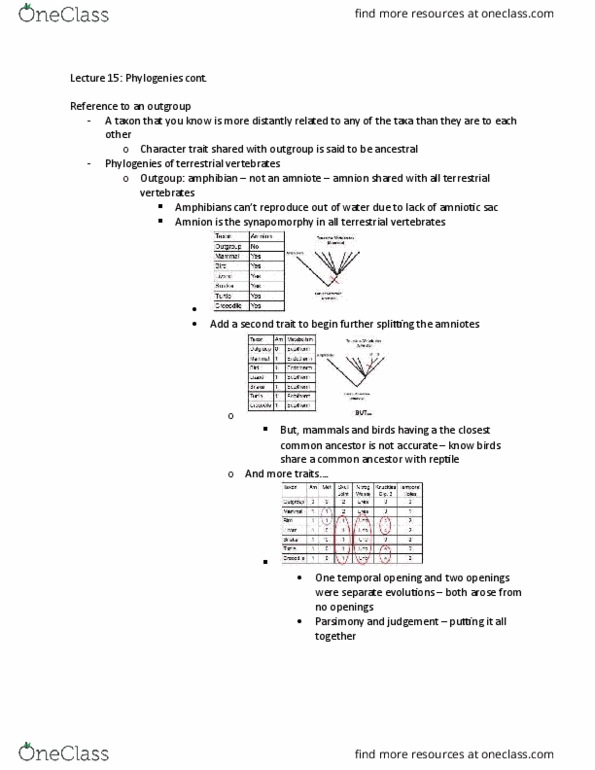 BIOL 2040 Lecture Notes - Lecture 15: Amniotic Sac, Amnion, Amniote thumbnail