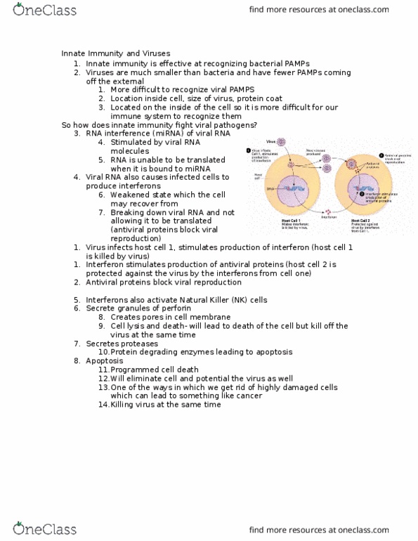 Biology 1202B Lecture Notes - Lecture 26: Natural Killer Cell, Adaptive Immune System, Programmed Cell Death thumbnail