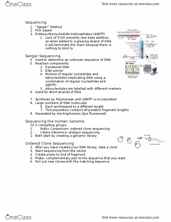 Biology 1201A Lecture Notes - Lecture 9: Sanger Sequencing, Genomic Library, Celera Corporation thumbnail