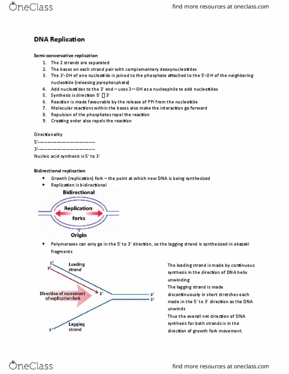 BIOC 302 Lecture Notes - Lecture 20: Dna Polymerase I, Klenow Fragment, Nick Translation thumbnail