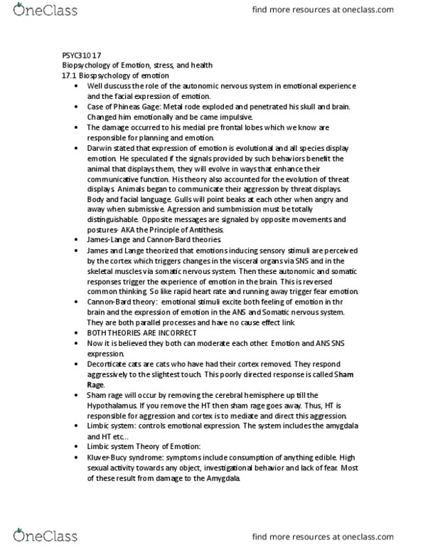 PSYC 370 Lecture Notes - Lecture 8: Glucocorticoid, Amygdala, Lateralization Of Brain Function thumbnail