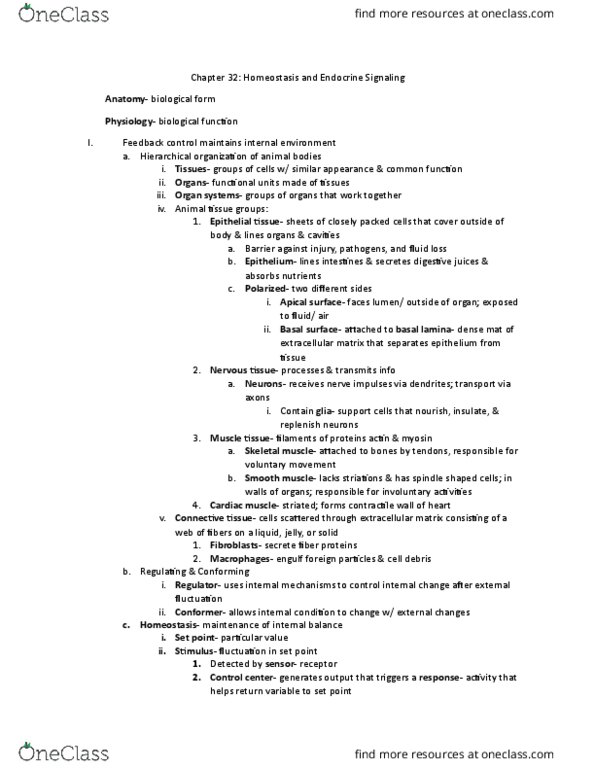 BIO 126 Chapter Notes - Chapter 32: Metabolic Waste, Conformer, Posterior Pituitary thumbnail