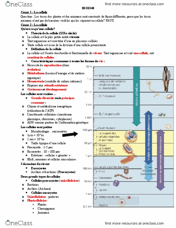 BIO 1540 Lecture Notes - Lecture 11: Phagocytosis, Chlorophylle, Eukaryote thumbnail