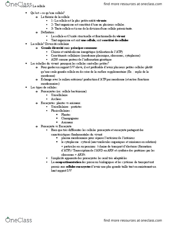 BIO 1540 Lecture Notes - Lecture 19: Ribulose, Diple, Lysine thumbnail