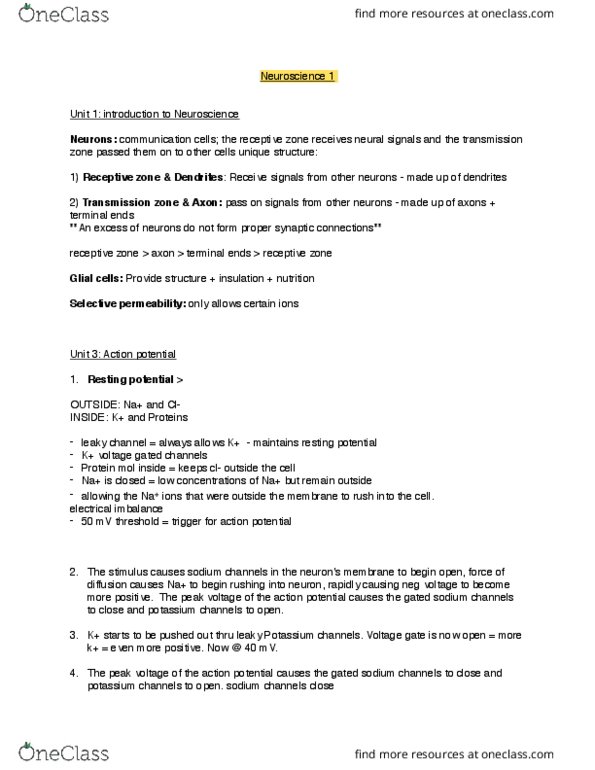 PSYCH 1XX3 Lecture Notes - Lecture 3: Postsynaptic Potential, Myelin, Neural Development thumbnail