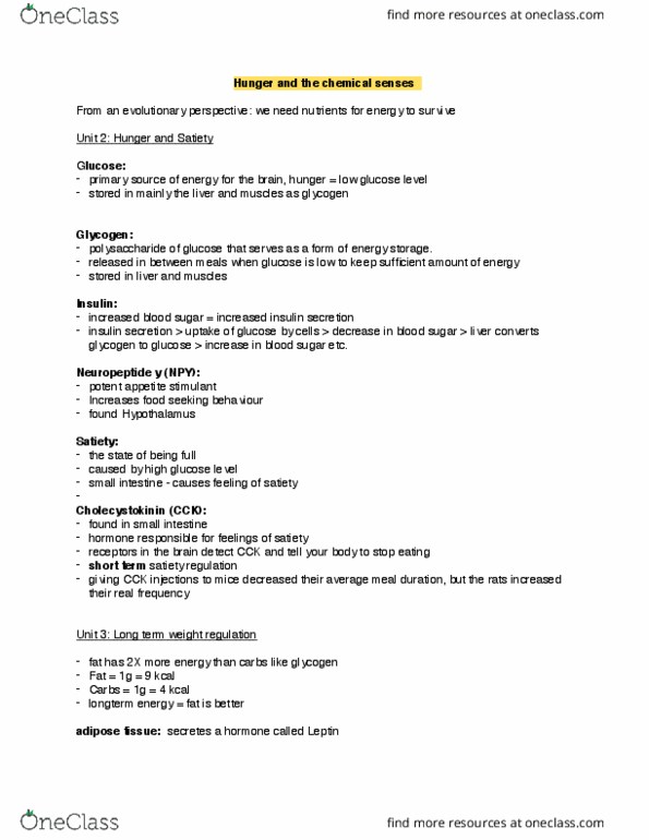 PSYCH 1XX3 Lecture Notes - Lecture 8: Soft Palate, Limbic System, Taste Receptor thumbnail