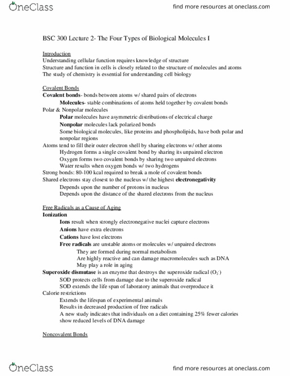 BSC 300 Lecture Notes - Lecture 2: Carboxylic Acid, Phospholipid, Calorie thumbnail