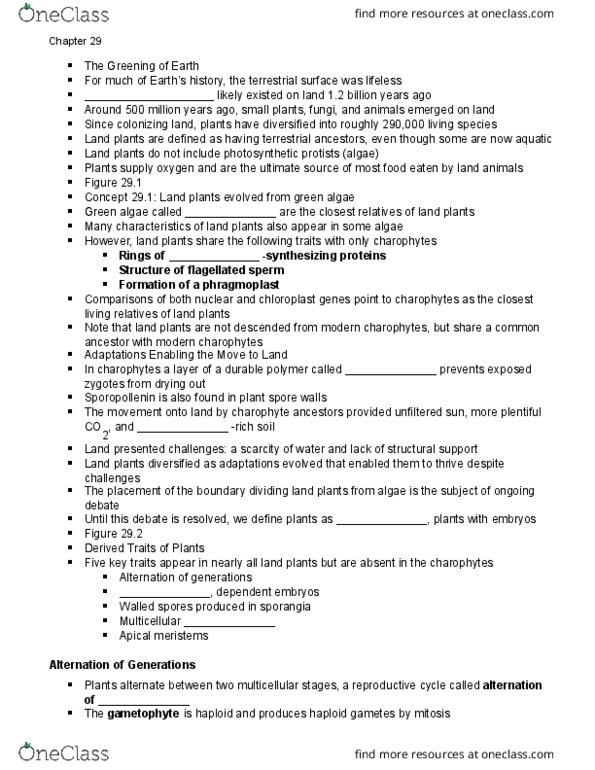 BIO 1406 Lecture Notes - Lecture 17: Mitosis, Stoma, Phragmoplast thumbnail