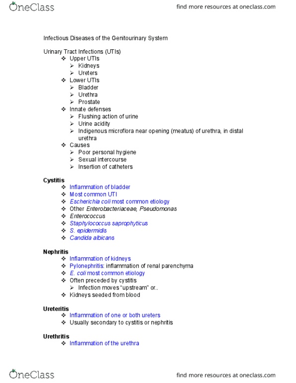 MCB 2004C Lecture Notes - Lecture 27: Non-Gonococcal Urethritis, Chancre, Prevotella thumbnail