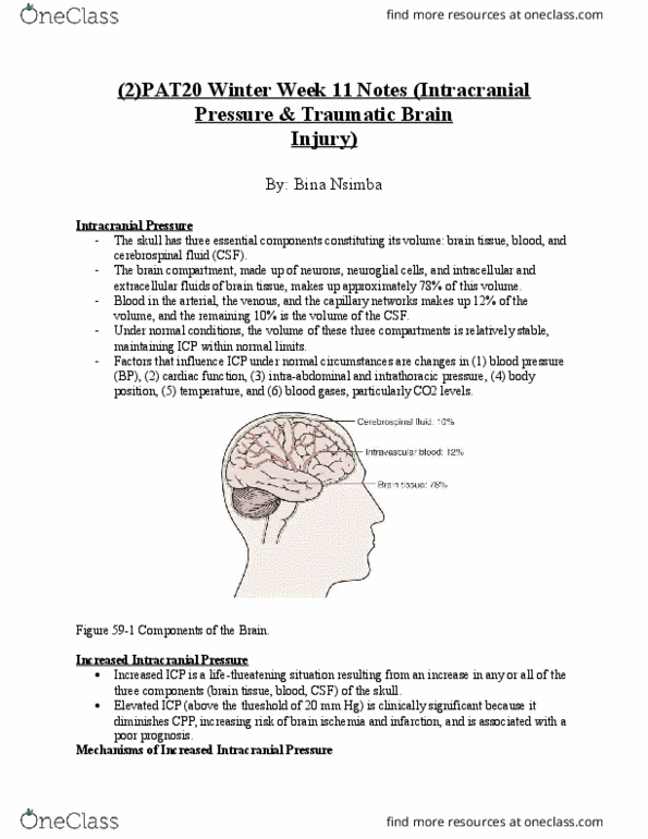 PAT 20A/B Lecture Notes - Lecture 11: Perfusion, Oculomotor Nerve, Brainstem thumbnail