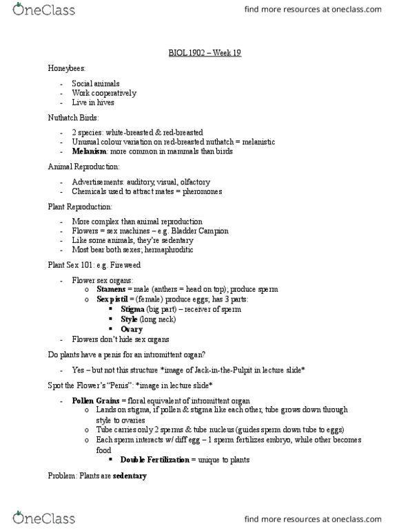 BIOL 1902 Lecture Notes - Lecture 19: Cirsium Vulgare, Gynoecium, Stamen thumbnail
