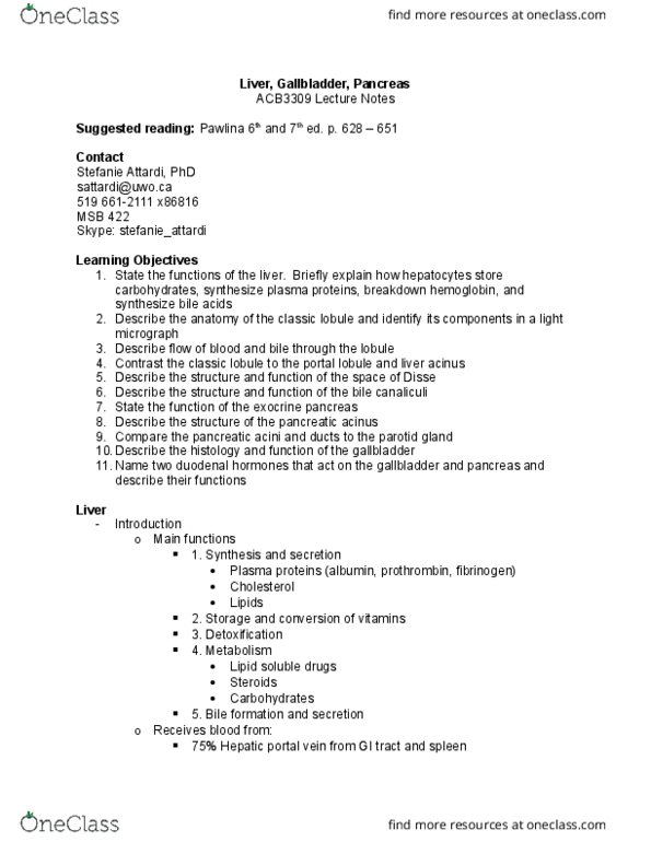 Anatomy and Cell Biology 3319 Lecture Notes - Lecture 5: Cholesterol, Ribonuclease, Loose Connective Tissue thumbnail