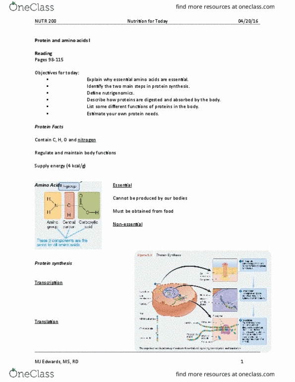 NUTR 200 Lecture Notes - Lecture 11: Essential Amino Acid, Nutrigenomics, Protein Structure thumbnail