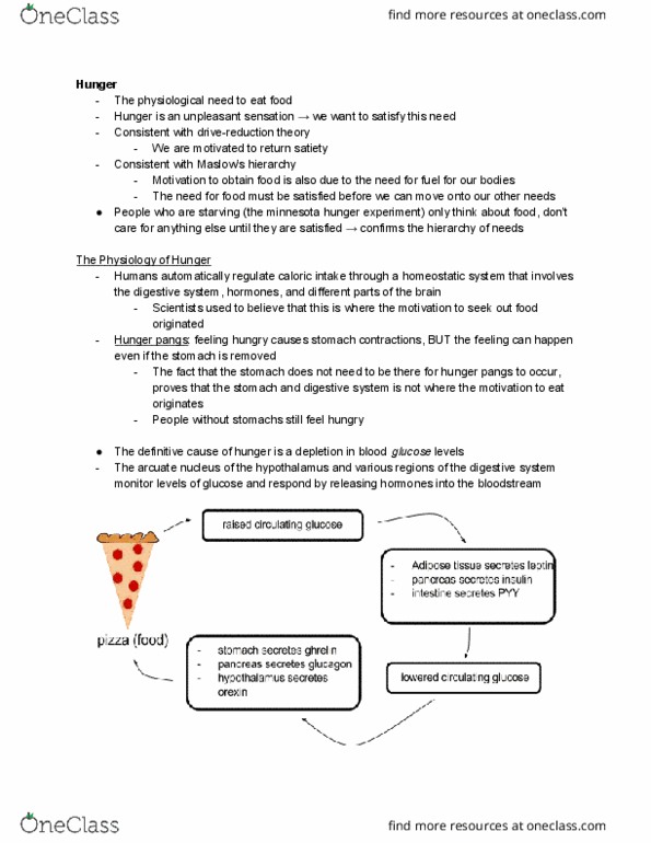 PSY 1101 Lecture Notes - Lecture 13: Pansexuality, Asexuality, Bisexuality thumbnail