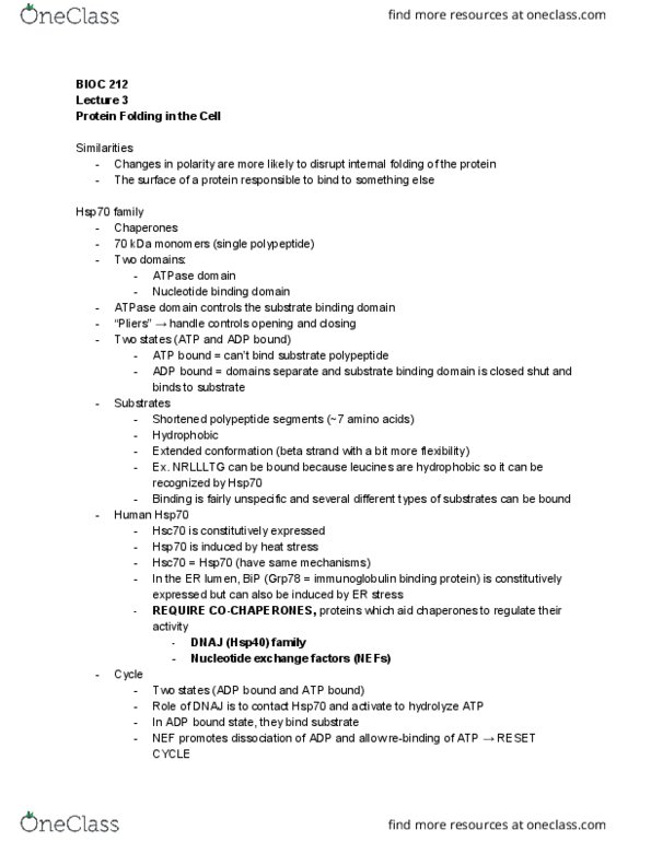 BIOC 212 Lecture Notes - Lecture 3: Valine thumbnail