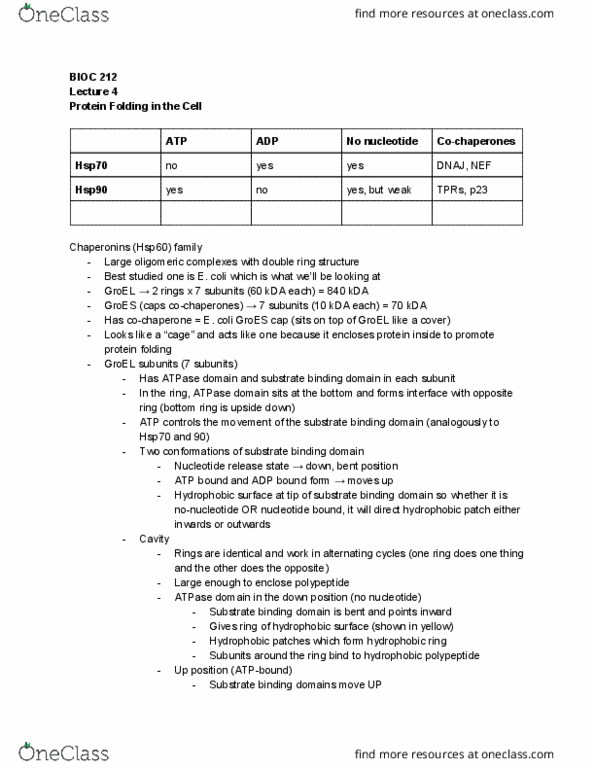 BIOC 212 Lecture Notes - Lecture 4: Chaperone Dnaj, Hsp60, Groes thumbnail