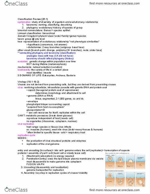 01:119:116 Lecture Notes - Lecture 1: West Nile Fever, Binomial Nomenclature, Lipid Bilayer thumbnail