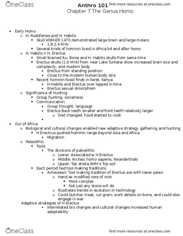 ANTH 101 Lecture Notes - Lecture 13: Homo Sapiens, Lake Turkana, Early Pleistocene thumbnail