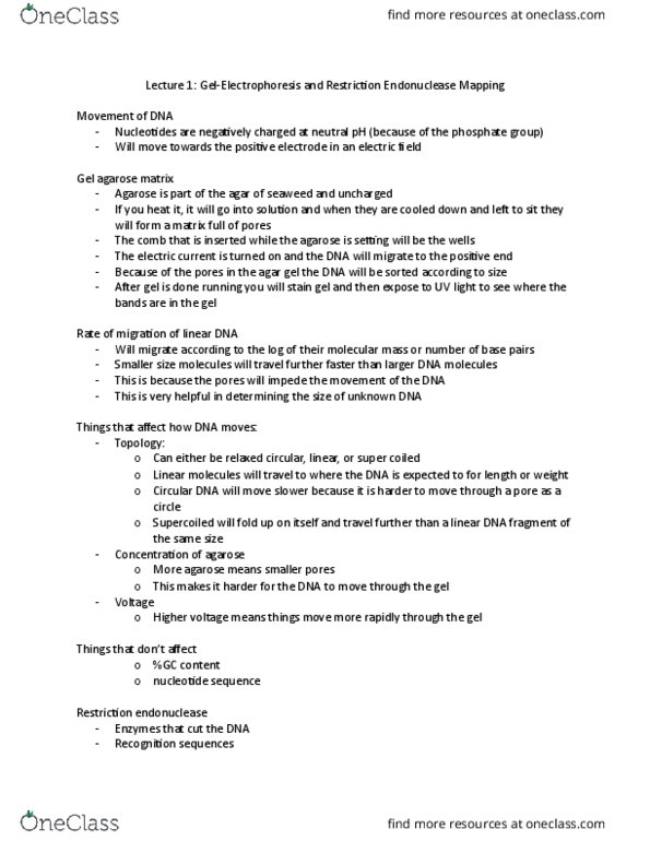 BIOL 2030 Lecture Notes - Lecture 1: Restriction Enzyme, Molecular Mass, Electric Field thumbnail