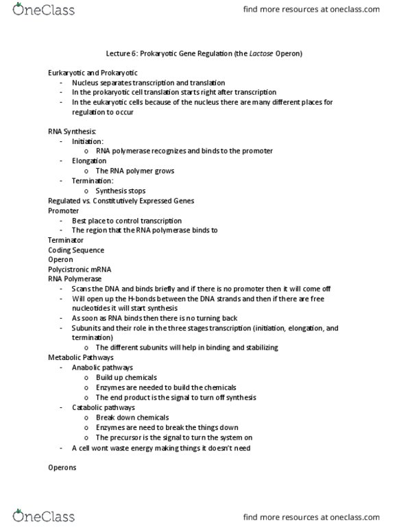 BIOL 2030 Lecture Notes - Lecture 6: Cistron, Operon, Prokaryote thumbnail