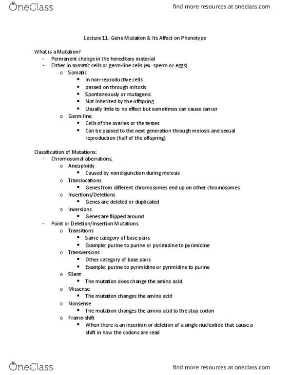 BIOL 2030 Lecture Notes - Lecture 11: Missense Mutation, Pyrimidine, Purine thumbnail