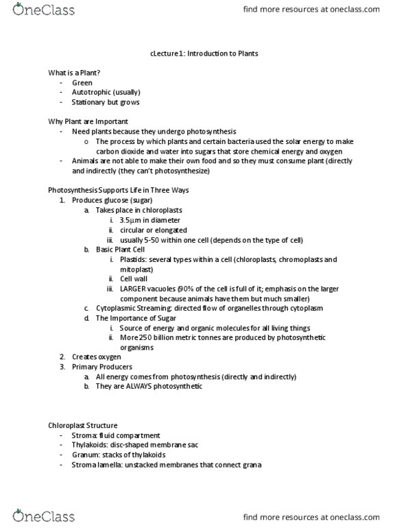 BIOL 2004 Lecture Notes - Lecture 1: Light-Independent Reactions, Chloroplast, Cell Wall thumbnail