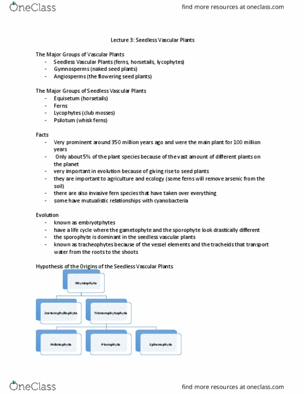 BIOL 2004 Lecture Notes - Lecture 3: Lycopodiopsida, Heterospory, Selaginella thumbnail