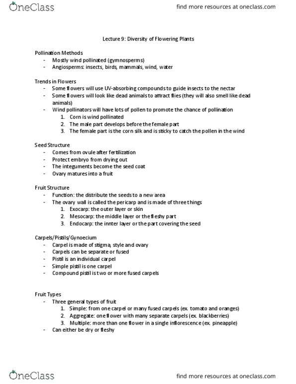 BIOL 2004 Lecture Notes - Lecture 9: Gynoecium, Fruit Anatomy, Seed thumbnail