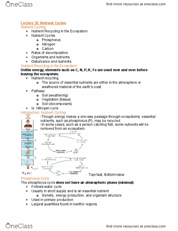 BIOL208 Lecture Notes - Lecture 32: Phosphorus Cycle, Nitrogen Cycle, Nitrogen Fixation thumbnail