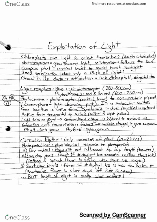 BIOL 186 Lecture 10: Exploitation of Light thumbnail