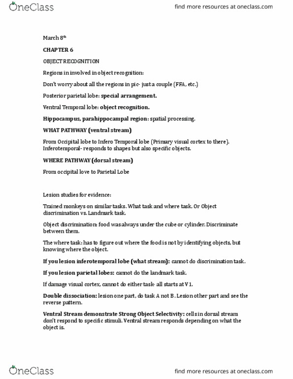 PSY 2502 Lecture Notes - Lecture 1: Parietal Lobe, Two-Streams Hypothesis, Temporal Lobe thumbnail