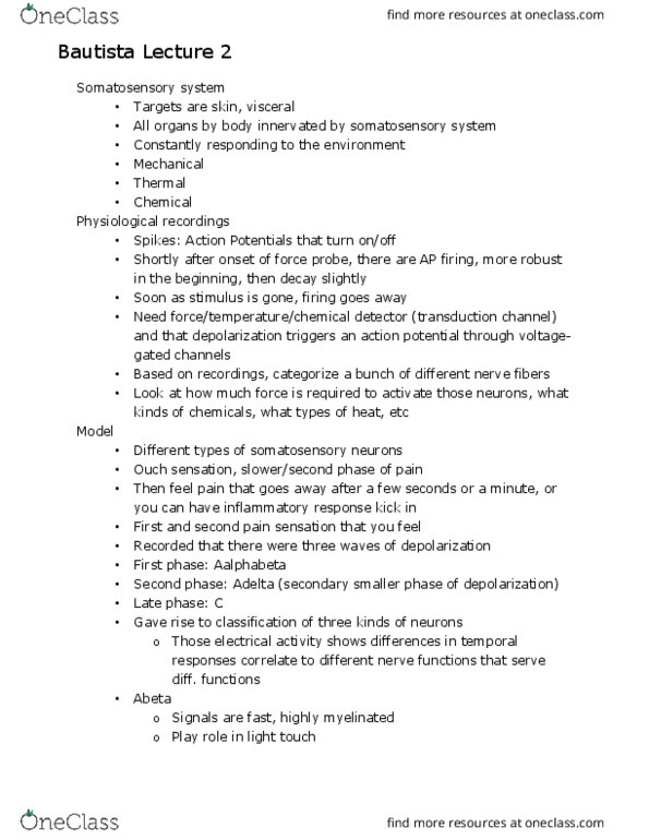 MCELLBI 133L Lecture Notes - Lecture 2: Proprioception, Group C Nerve Fiber, Trpv1 thumbnail