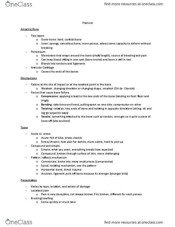 KINESIOL 3K03 Lecture Notes - Lecture 6: Bone, Clavicle, Periosteum thumbnail