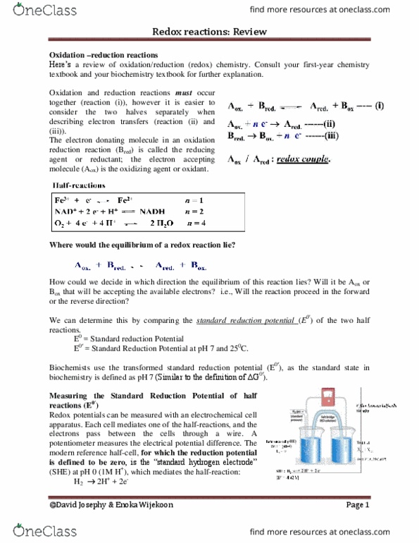 BIOC 2580 Lecture Notes - Lecture 8: Reduction Potential, Standard Hydrogen Electrode, Electrochemical Cell thumbnail
