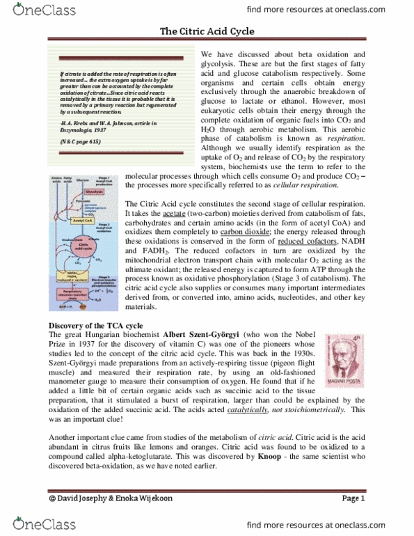 BIOC 2580 Lecture Notes - Lecture 11: Succinate Dehydrogenase, Fritz Albert Lipmann, Acetyl-Coa thumbnail