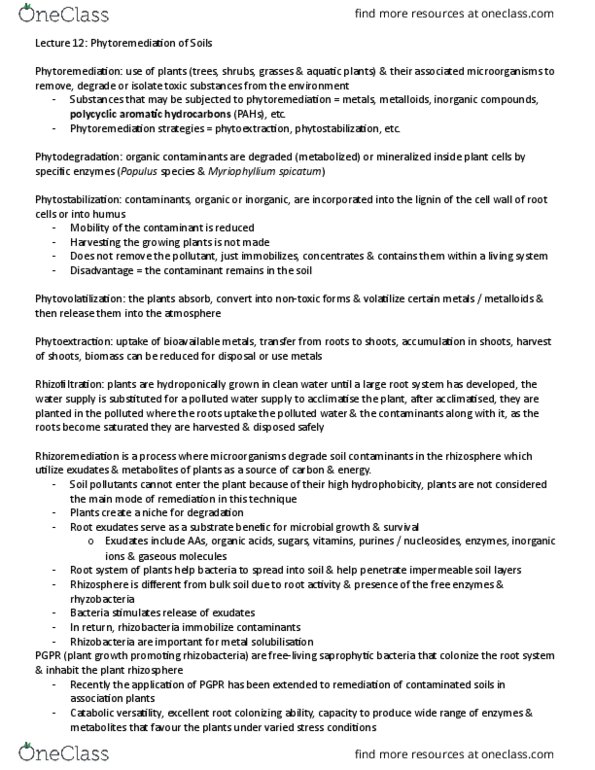 PBIO 4000 Lecture Notes - Lecture 12: Polycyclic Aromatic Hydrocarbon, Phytoremediation, Rhizosphere thumbnail