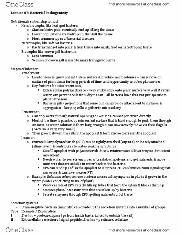 PBIO 4000 Lecture Notes - Lecture 7: Type Three Secretion System, Ralstonia Solanacearum, Erwinia thumbnail